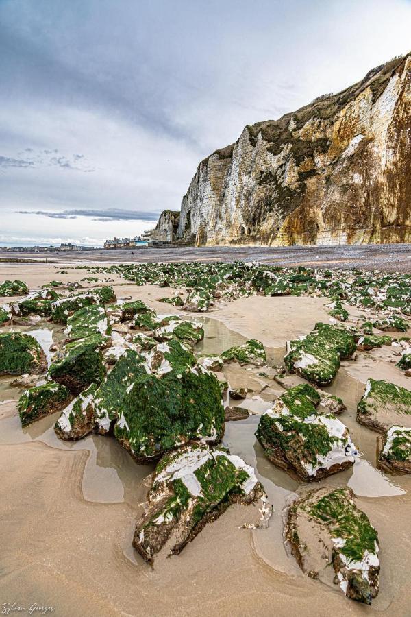 Gite Les Grandes Masures Vasterival Varengeville-sur-Mer Dış mekan fotoğraf