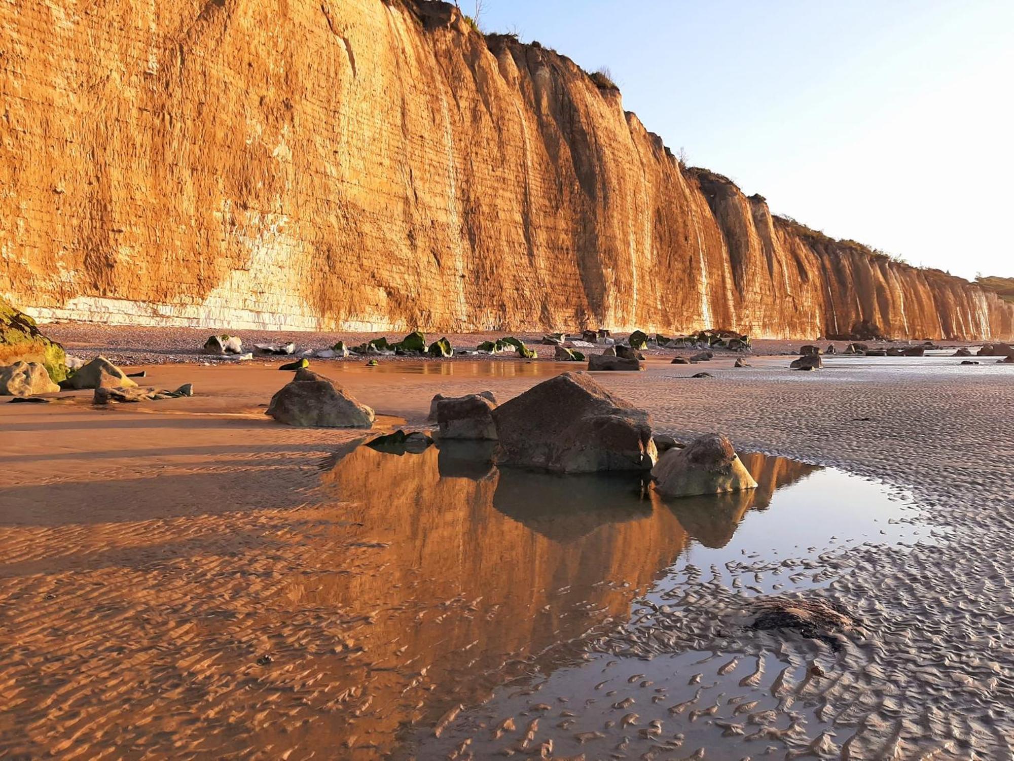 Gite Les Grandes Masures Vasterival Varengeville-sur-Mer Dış mekan fotoğraf
